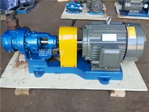 高粘度转子泵-NYP型内环式高粘度转子泵