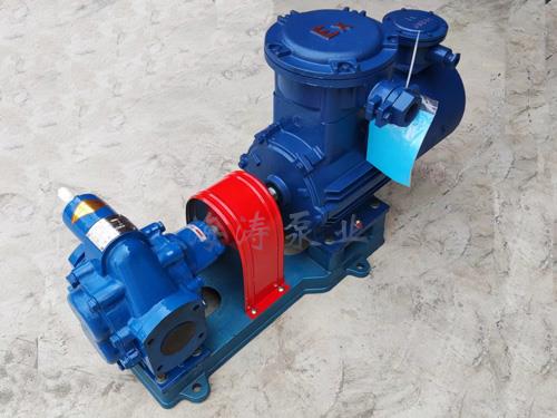 高粘度转子泵-NYP型内环式高粘度转子泵