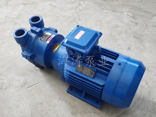 2bv系列真空泵-2bv真空泵-2bv系列水环式真空泵