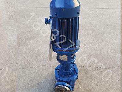 LRY32立式导热油泵-立式导热油泵