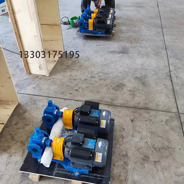 <a href='/ycb06gyhb.html'>YCB0</a>.6-0.6圆弧齿轮泵