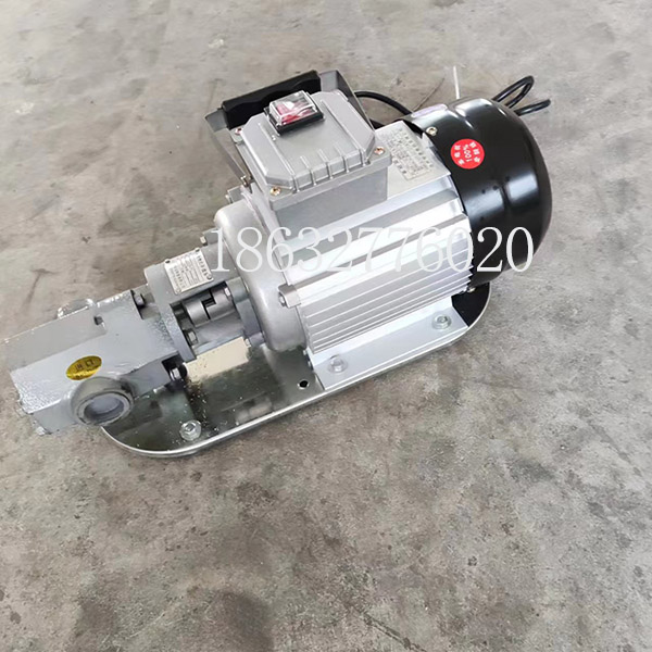 <strong>WCB100手提式齿轮泵</strong>