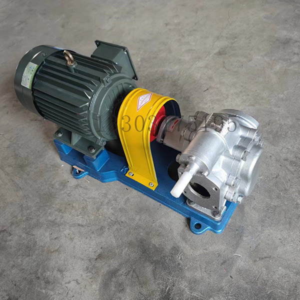 <strong>KCB200不锈钢齿轮泵</strong>