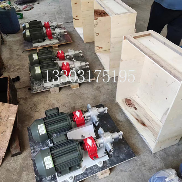 <strong>BW-B-2不锈钢半保温泵</strong>