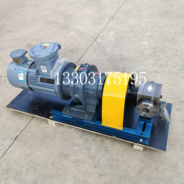 <strong>100cc熔体泵</strong>