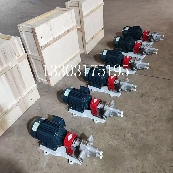 <strong>BW-B-2不锈钢半保温泵</strong>