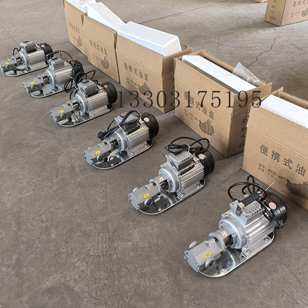 WCB100手提式齿轮泵