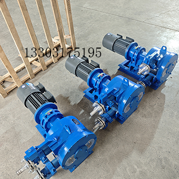 RG25<a href='/gyrgb.html'>软管泵</a>