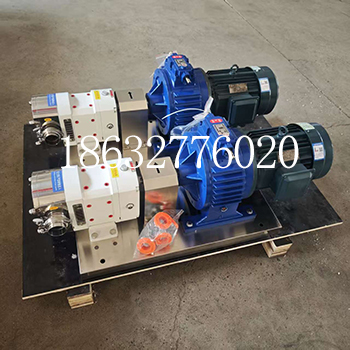 3RP-3Z-35型凸轮转子泵