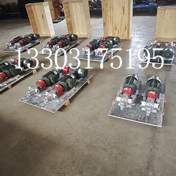 BW-B-3.3不锈钢保温泵