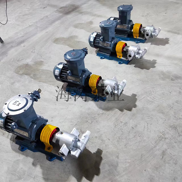 <strong>KCB55不锈钢齿轮泵</strong>