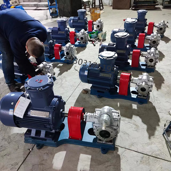 <strong>KCB200不锈钢齿轮泵</strong>