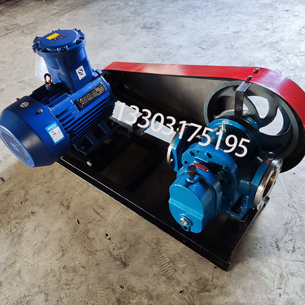 LC50/0.6皮带轮罗茨泵