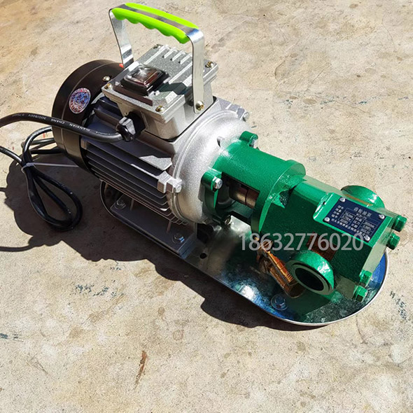 <strong>WCB-75手提式齿轮泵</strong>